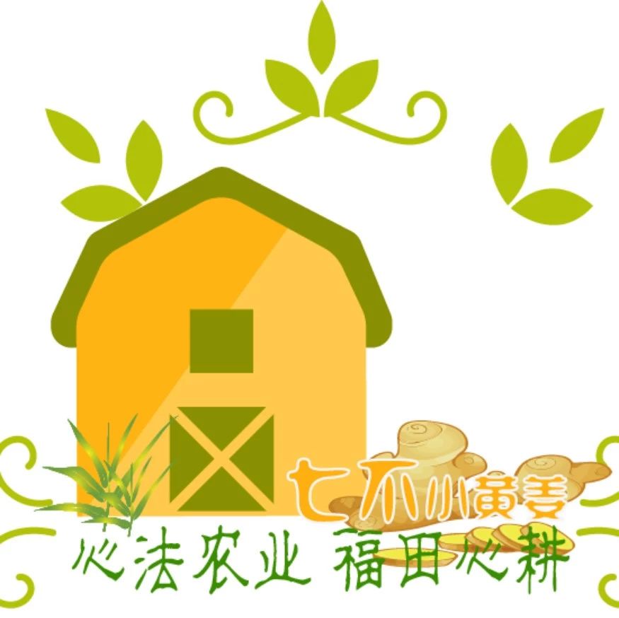 正直行道!永言配命!誠招心法農業七不姜網絡分銷代理;零成本庫存!心法農業 福田心耕之自然 生態 良心“七不”小黃姜網絡分銷代理-七不姜 生姜養生網-明德CSA生態姜園&明安農業