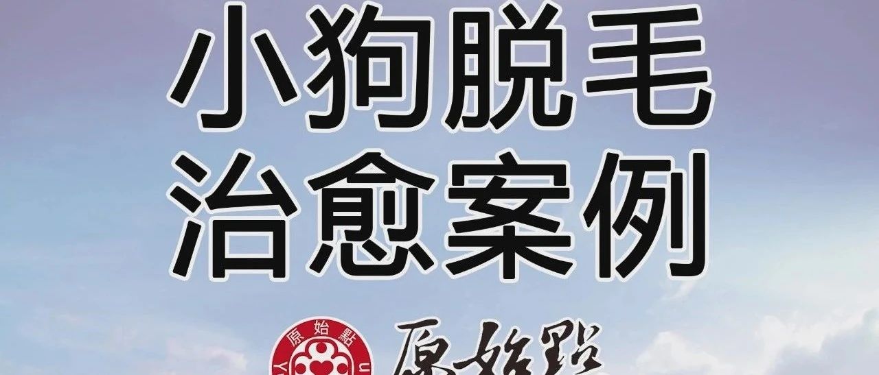 小狗脫毛治愈案例-七不姜 生姜養生網-明德CSA生態姜園&明安農業