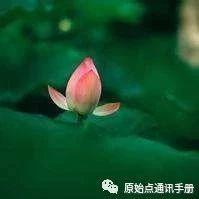 浙江 原始點通訊錄-七不姜 生姜養生網-明德CSA生態姜園&明安農業
