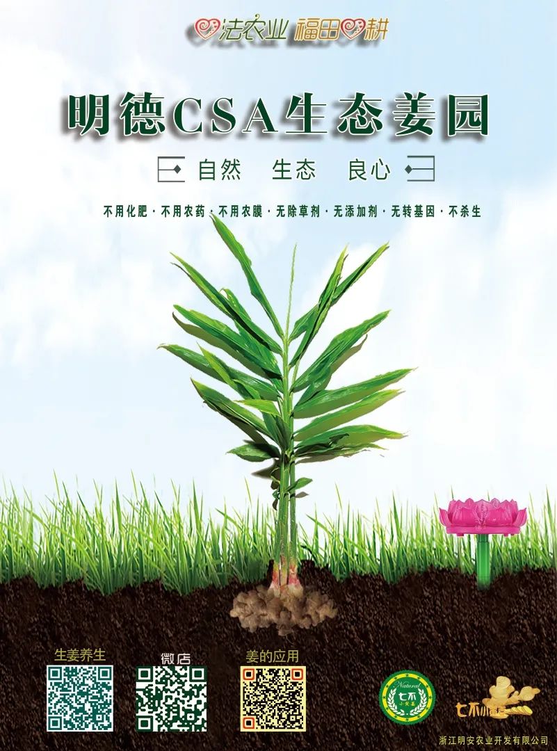 我們是誰？我們要干什么？關于我們-心法農業 七不姜 明德CSA生態姜園..還有心農人...