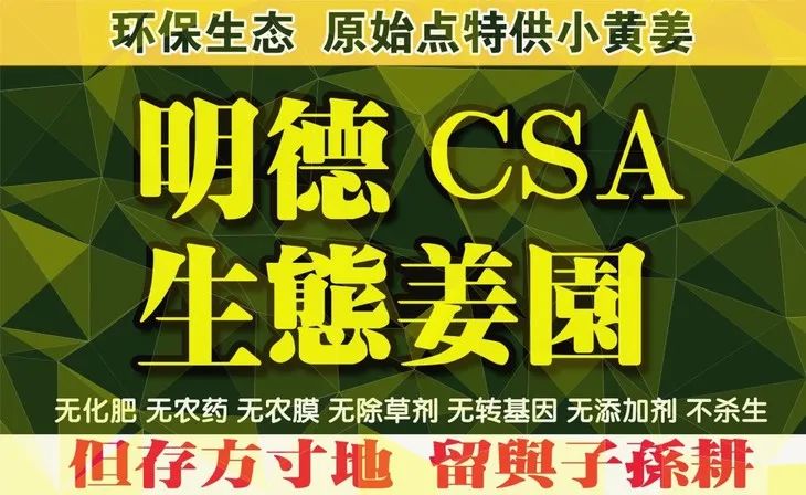 一波吃姜優惠劵來了~“冬吃蘿卜夏吃姜，不需醫生開藥方” 要吃就吃七不小黃姜！