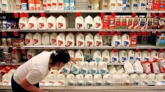 保質期的那點事...食品姜品保質期到底是誰決定的？怎么決定的？