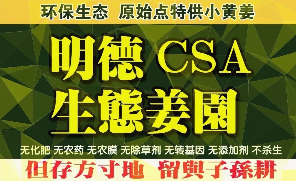 我們是誰？我們要干什么？關于我們-心法農業 七不姜 明德CSA生態姜園..還有心農人...