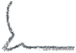 原始點的姜湯灌腸案例 腸梗阻 便秘 痔瘡-七不姜 生姜養生網-明德CSA生態姜園&明安農業