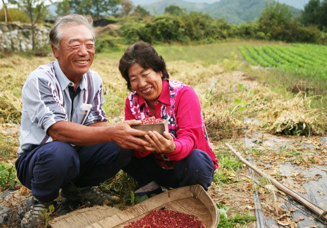 案例分享:東莞塘廈原始點調理不孕的案例-七不姜 生姜養生網-明德CSA生態姜園&明安農業