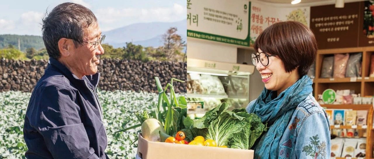 Q&A | 韓莎琳 X CSA聯盟問答實錄（下篇）-七不姜 生姜養生網-明德CSA生態姜園&明安農業