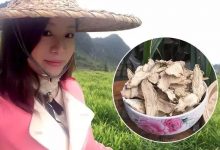 純正湖南小黃姜干姜片，給您一份濃濃的愛……-七不姜 生姜養生網-明德CSA生態姜園&明安農業