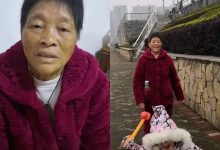 案例分享：70歲老人腹痛（醫院初診可能升結腸癌）飛蛾癥、腿抽筋、失眠調理案例-七不姜 生姜養生網-明德CSA生態姜園&明安農業