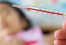 案例分享：小孩高燒40°、手麻腿麻調理案例-七不姜 生姜養生網-明德CSA生態姜園&明安農業