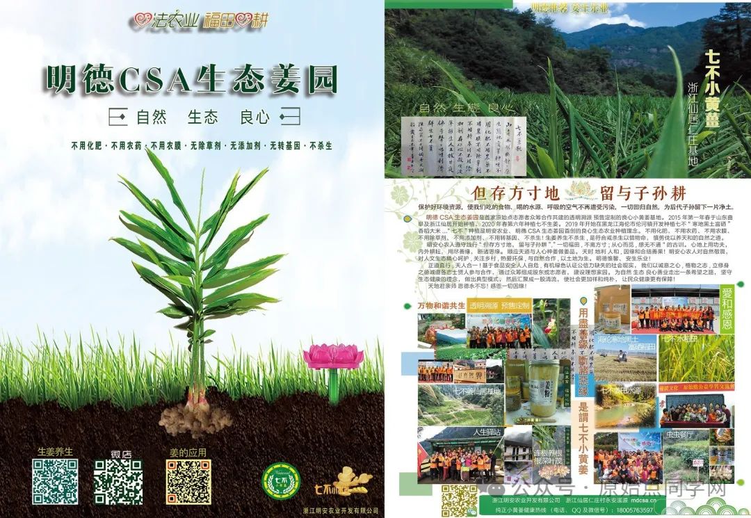 (廣告)雙11 除了七不姜,今天什么姜都別買! (廣告)雙11 除了七不姜,今天什么姜都別買!