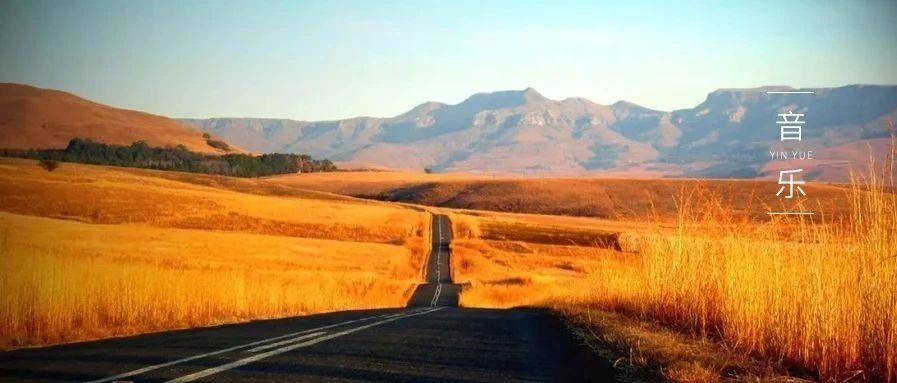 《你的答案》火了，它憑什么打動無數人？-七不姜 生姜養生網-明德CSA生態姜園&明安農業