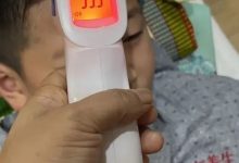 案例分享：孩子反復發燒調理案例-七不姜 生姜養生網-明德CSA生態姜園&明安農業