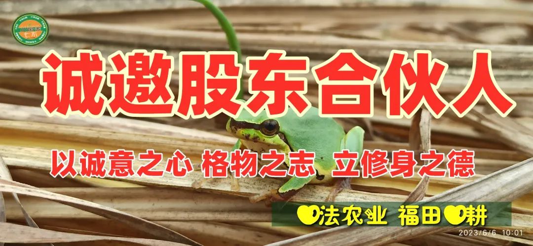 明德CSA生態姜園 - 一個革新的農業未來!尊敬的未來合伙人，誠摯邀請您成為七不姜姜園的股東合伙人....
