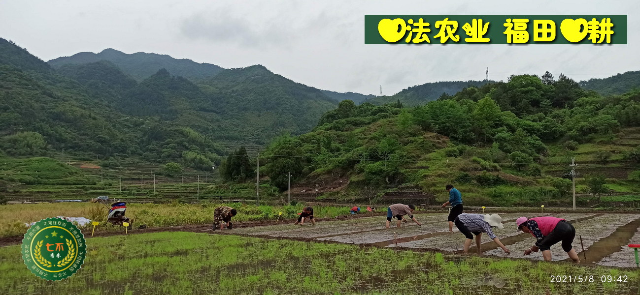 宮頸癌前病變案例 周紅艷48歲 2020年5月開始每天噴兩次姜粉,四個月后檢查正常！-七不姜 生姜養生網-明德CSA生態姜園&明安農業
