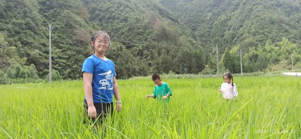 2023年浙江仙居 明安青少年兒童國學耕讀夏令營回顧 7/8-8/4