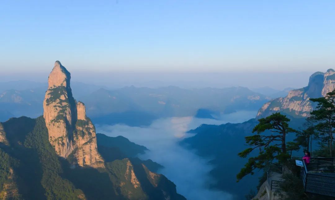 仙居仙景 | 想你的風還是吹到了仙居，“爾濱”老鐵們！看仙居給咱整點啥→