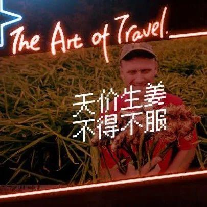 中國一抓一大把的生姜，國外都搶瘋了 2020-七不姜 生姜養生網-明德CSA生態姜園&明安農業