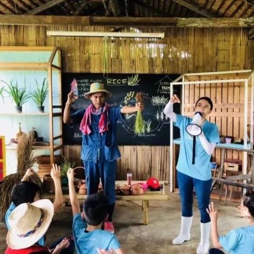 泰國Ginger Farm，30畝土地的親子農場天天客流爆滿！-七不姜 生姜養生網-明德CSA生態姜園&明安農業