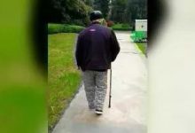 案例分享：69歲老人腦梗、腦萎縮，腦白質變性，高血壓案例-七不姜 生姜養生網-明德CSA生態姜園&明安農業