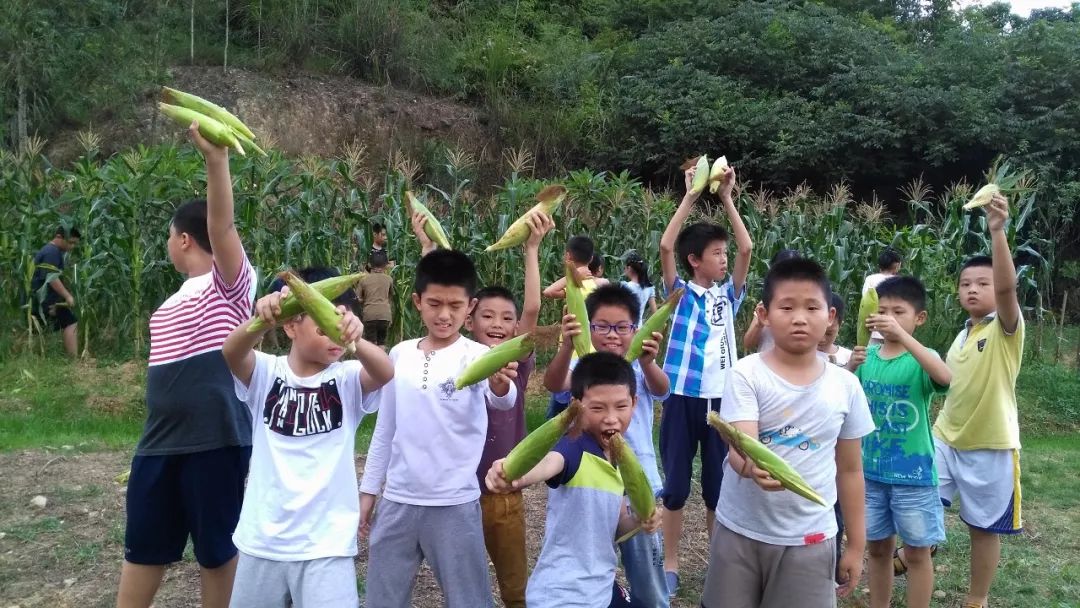 2024年廈門明道國學堂暑期少兒“耕讀結合”特色國學夏令營 招生簡章