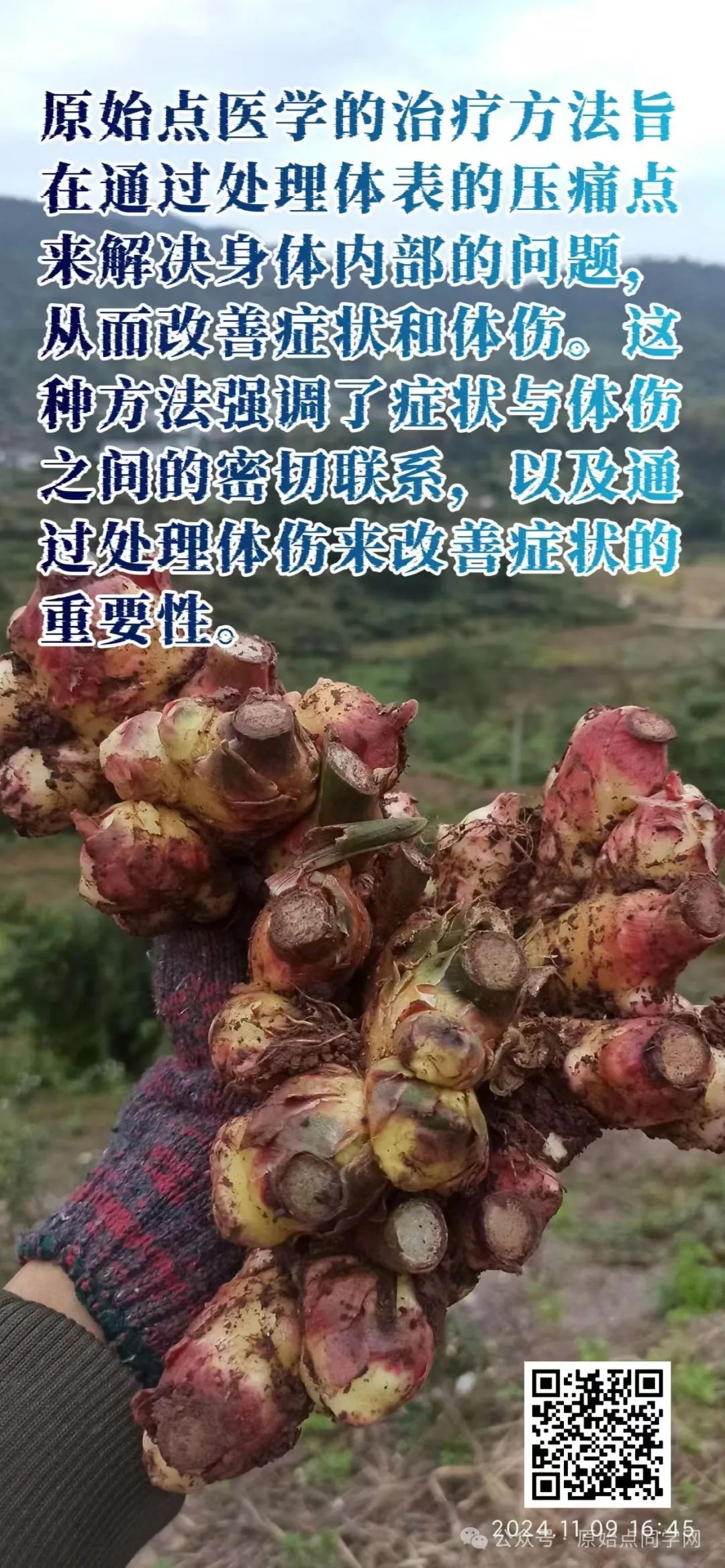 (廣告)雙11 除了七不姜,今天什么姜都別買! (廣告)雙11 除了七不姜,今天什么姜都別買!