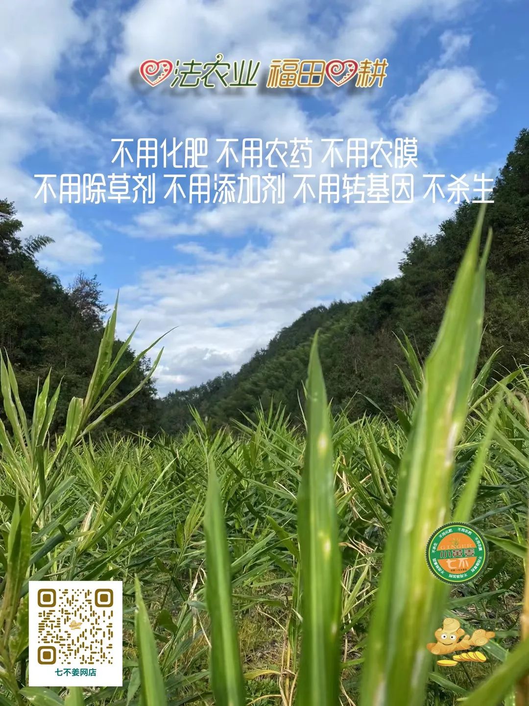 明德CSA生態姜園 - 一個革新的農業未來!尊敬的未來合伙人，誠摯邀請您成為七不姜姜園的股東合伙人....