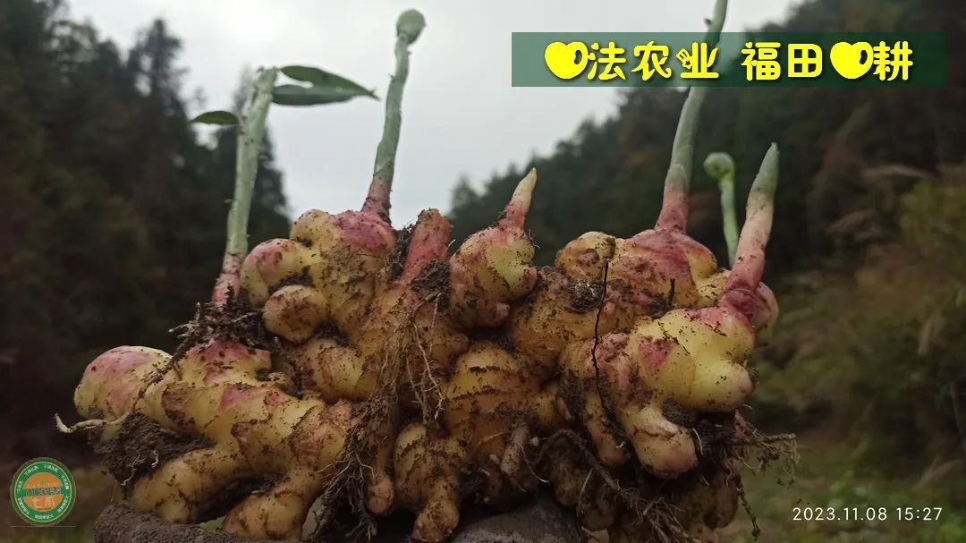 2024年4月春暖花開！春耕優惠“卷”