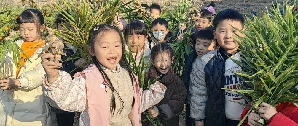 嗨，一起來“姜”快樂進行到底！-七不姜 生姜養生網-明德CSA生態姜園&明安農業