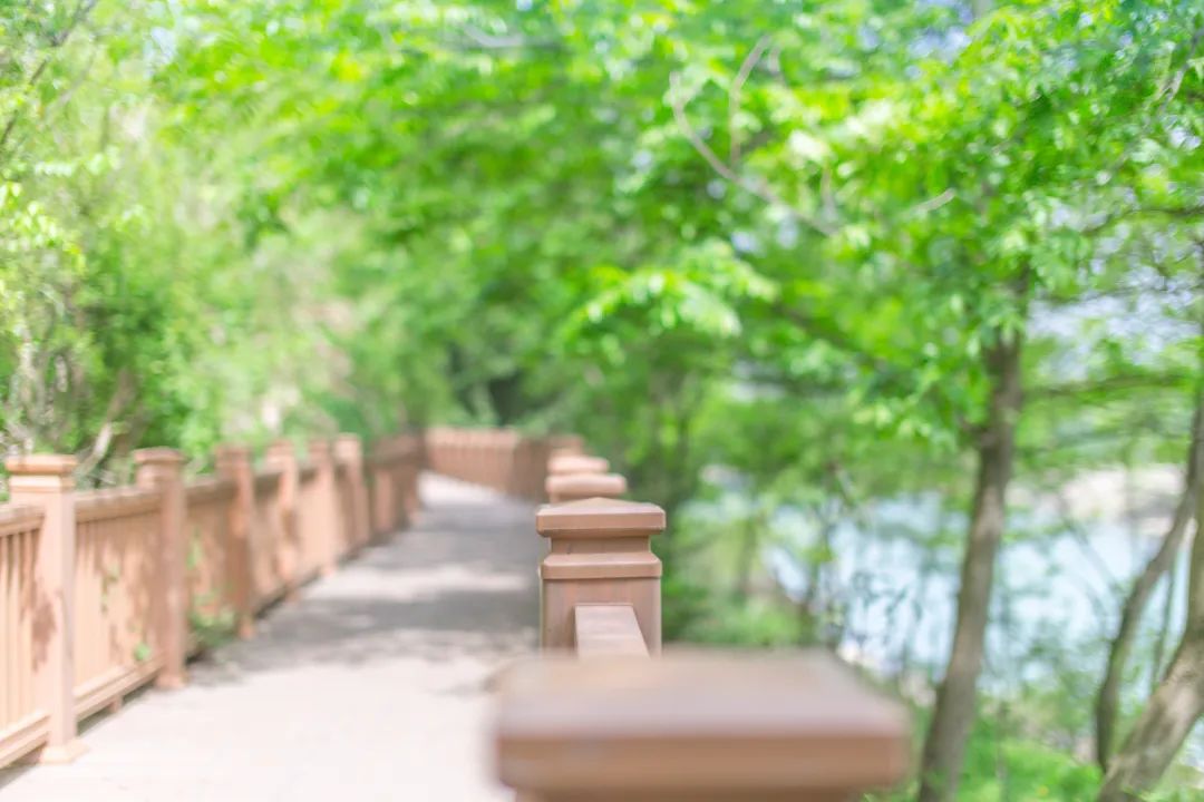 仙居仙景 | 想你的風還是吹到了仙居，“爾濱”老鐵們！看仙居給咱整點啥→