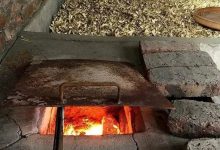 生姜好比“還魂草”，你有嘗試過嗎？-七不姜 生姜養生網-明德CSA生態姜園&明安農業