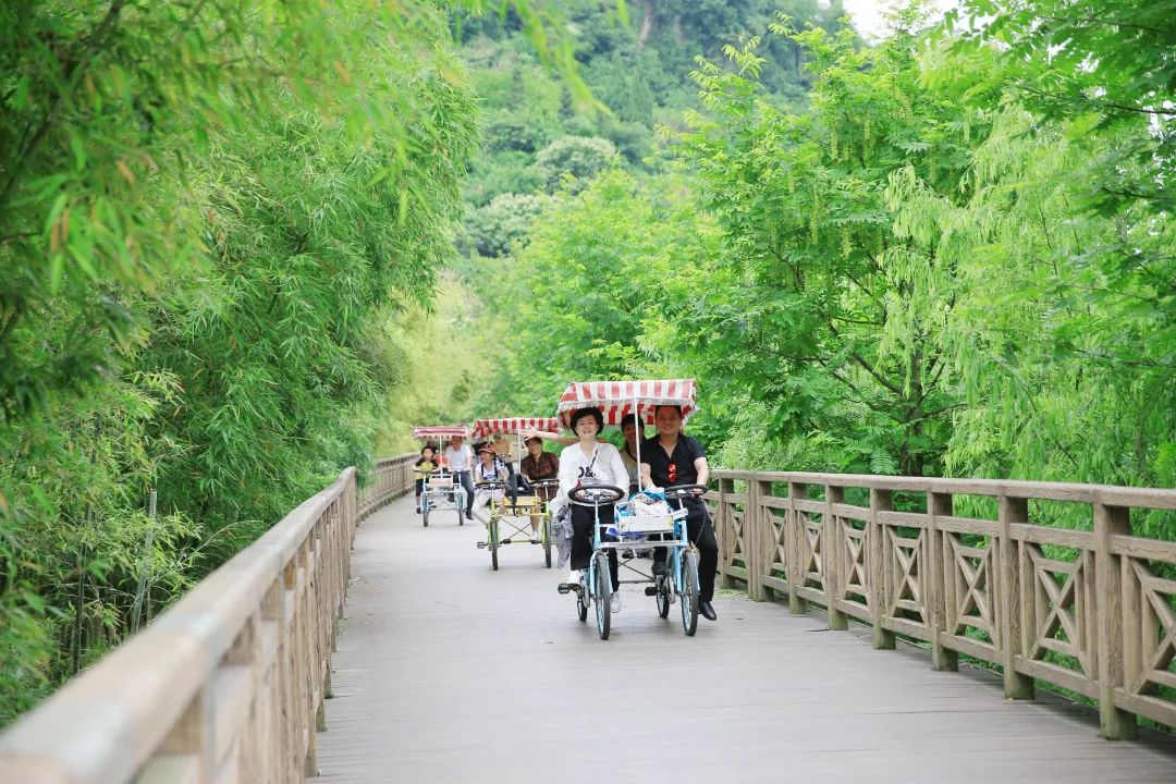 仙居仙景 | 想你的風還是吹到了仙居，“爾濱”老鐵們！看仙居給咱整點啥→