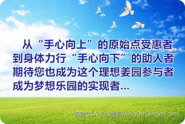 明德CSA生態姜園 - 一個革新的農業未來!尊敬的未來合伙人，誠摯邀請您成為七不姜姜園的股東合伙人....