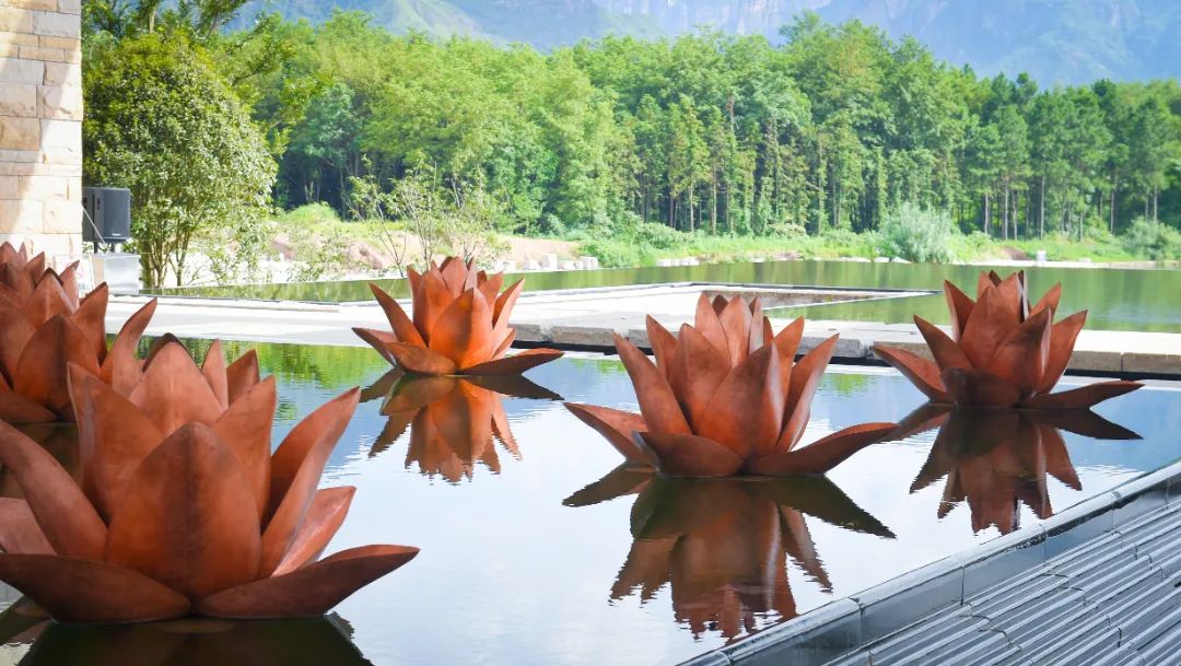 仙居仙景 | 想你的風還是吹到了仙居，“爾濱”老鐵們！看仙居給咱整點啥→