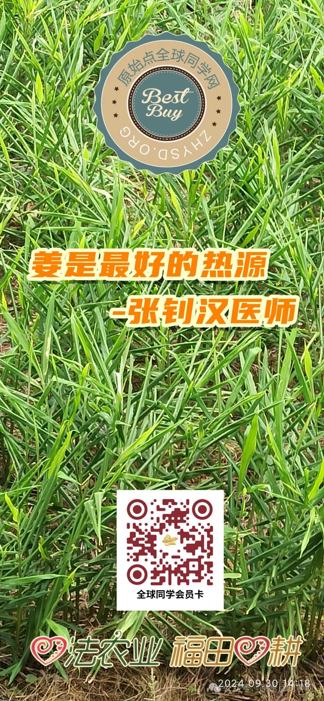 滿50元減25元！（廣告）**全球同學 元旦 新年 特別福利大放送！**兩大姜品聯合促銷高品質姜粉 七不生態小黃姜+云南有機姜