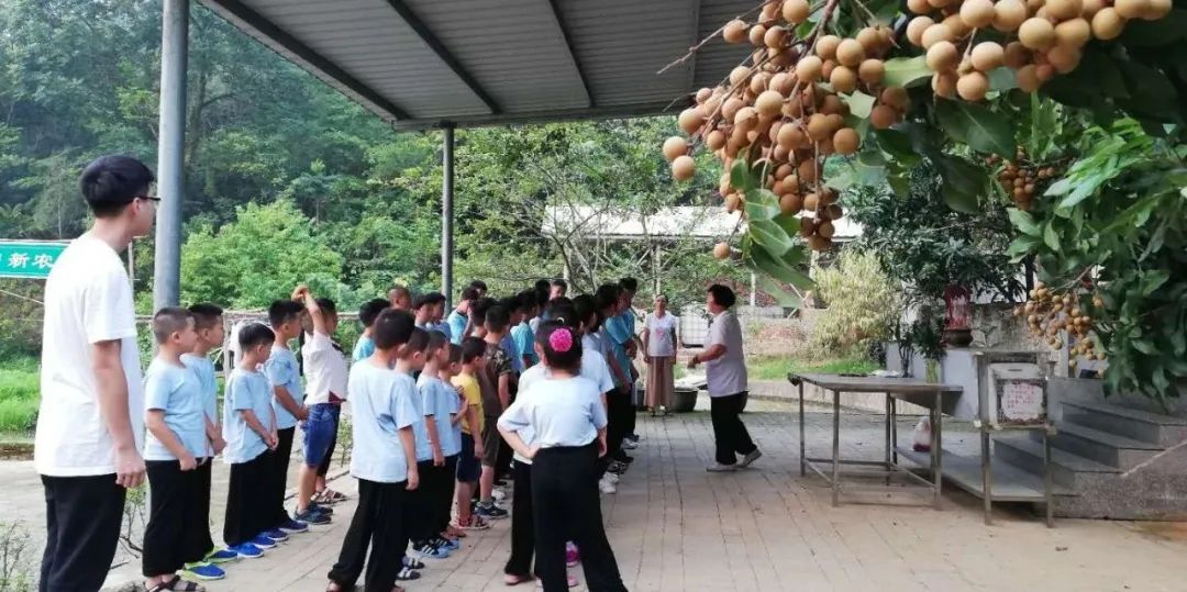 2024年廈門明道國學堂暑期少兒“耕讀結合”特色國學夏令營 招生簡章