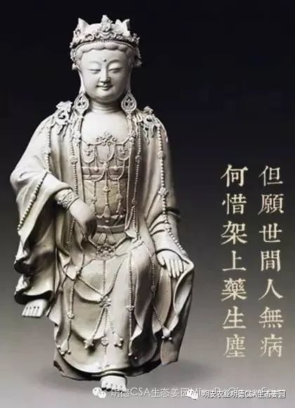 明德CSA生態姜園 - 一個革新的農業未來!尊敬的未來合伙人，誠摯邀請您成為七不姜姜園的股東合伙人....