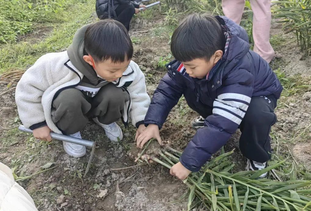 嗨，一起來“姜”快樂進行到底！