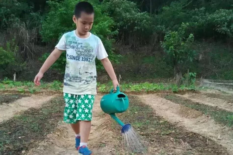 2024年廈門明道國學堂暑期少兒“耕讀結合”特色國學夏令營 招生簡章