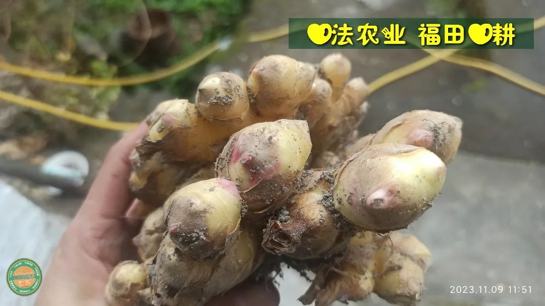 2024年4月春暖花開！春耕優惠“卷”