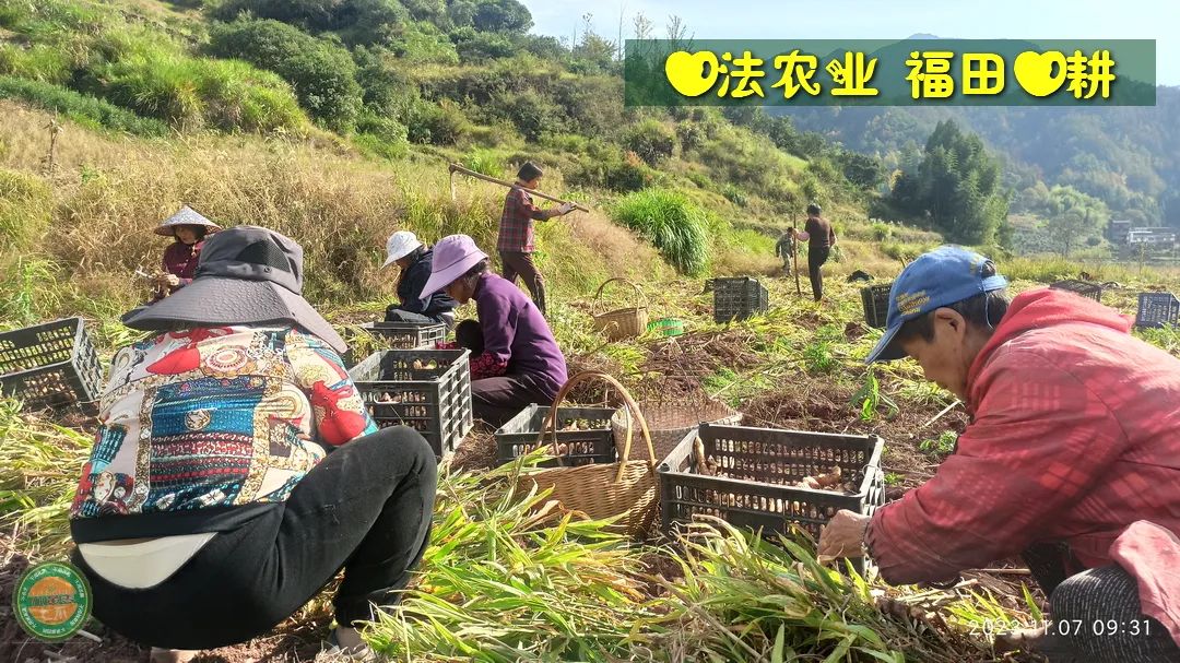 2024年4月春暖花開！春耕優惠“卷”