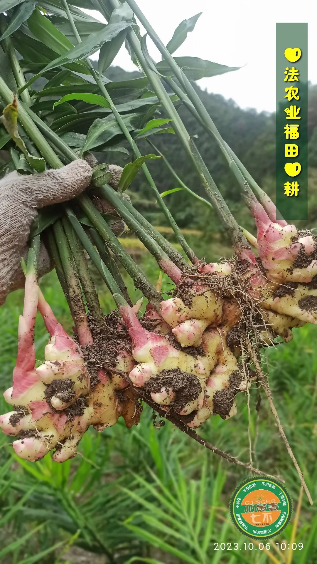 2024年4月春暖花開！春耕優惠“卷”
