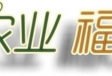 原始點調理九年史牛皮癬：二十天大變化-梁浩宏 27歲香港人 2018年6月-七不姜 生姜養生網-明德CSA生態姜園&明安農業