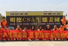 心法農業，福田心耕。明安事業繁榮祈禱文-七不姜 生姜養生網-明德CSA生態姜園&明安農業