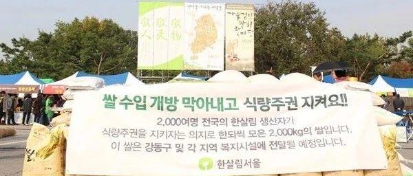 Q&A | 韓莎琳 X CSA聯盟問答實錄（上篇）-七不姜 生姜養生網-明德CSA生態姜園&明安農業