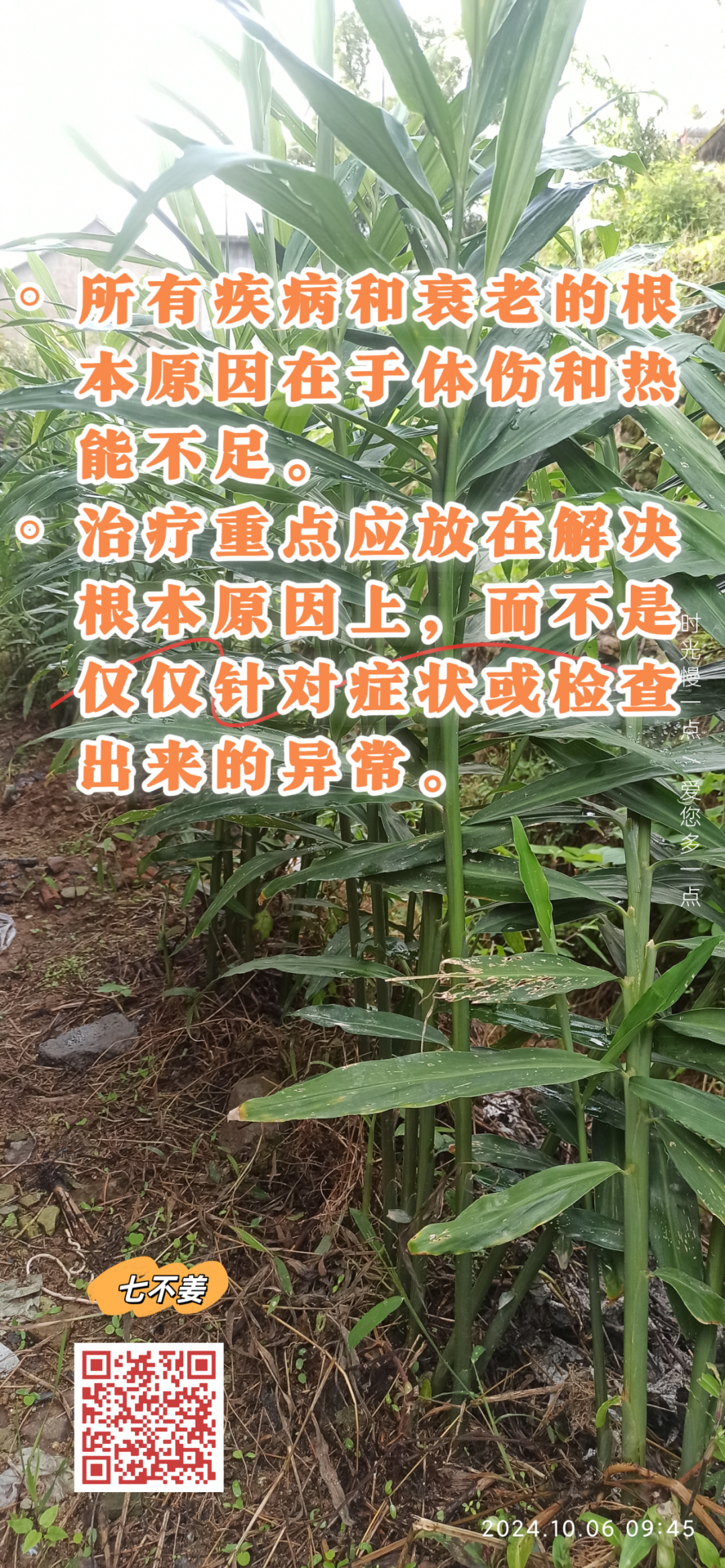 10月11月七不姜七不水稻秋收季！ 明安農業優惠 促銷 折扣 送禮