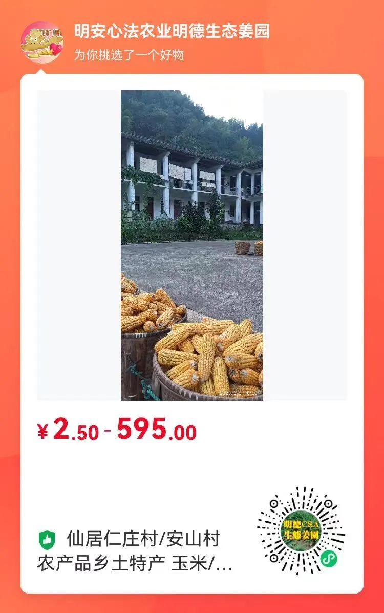10月11月七不姜七不水稻秋收季！ 明安農業優惠 促銷 折扣 送禮