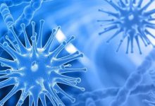 案例分享：癌癥要不要早發現早治療？-七不姜 生姜養生網-明德CSA生態姜園&明安農業