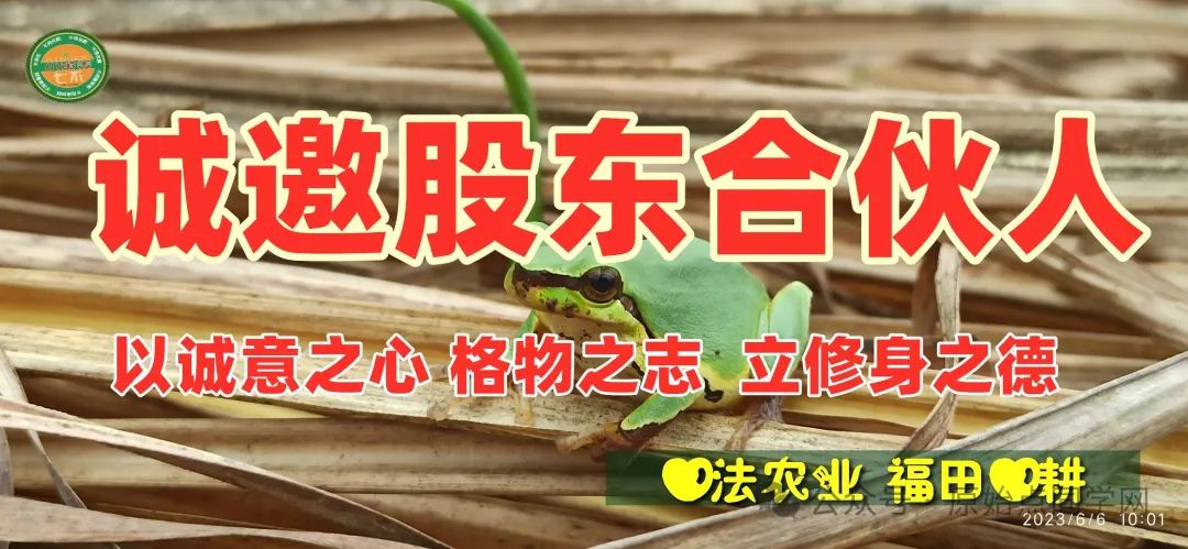 (廣告)雙11 除了七不姜,今天什么姜都別買! (廣告)雙11 除了七不姜,今天什么姜都別買!
