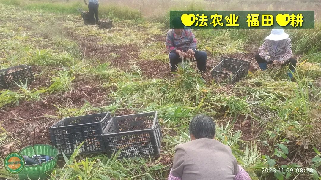 2024年4月春暖花開！春耕優惠“卷”