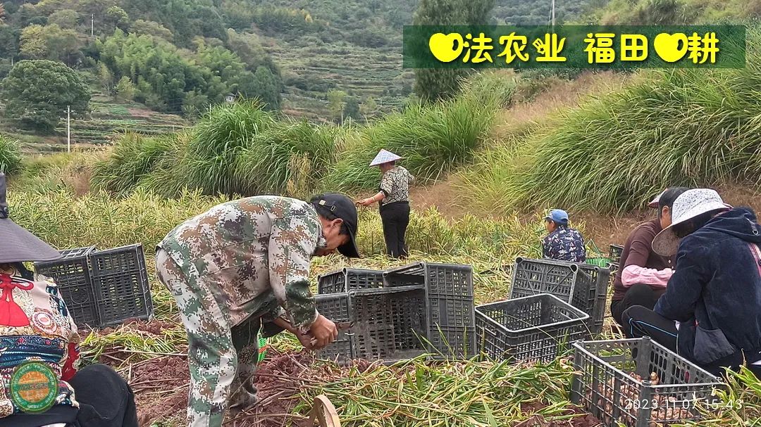 2024年4月春暖花開！春耕優惠“卷”